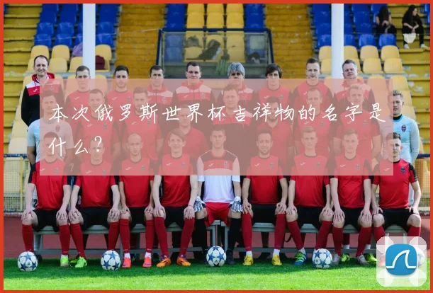 本次俄罗斯世界杯吉祥物的名字是什么？