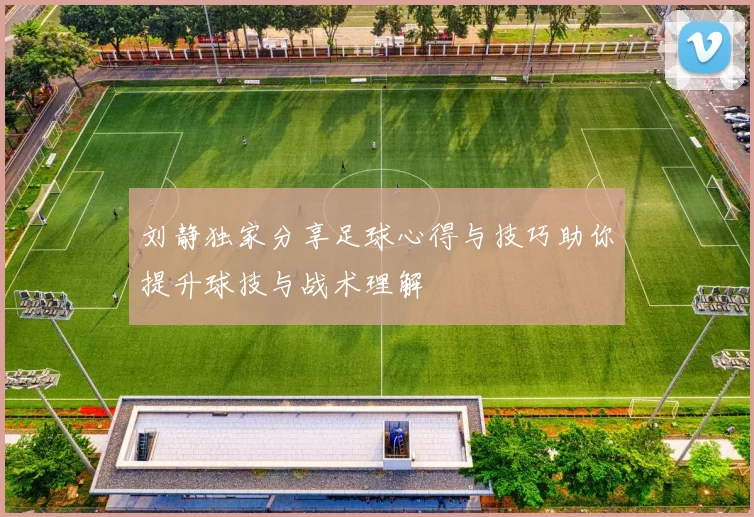 刘静独家分享足球心得与技巧助你提升球技与战术理解